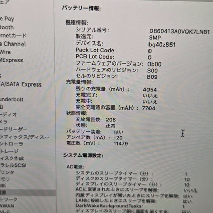 【良品】【1週間保証】MacBook Pro 15-inch 2018 / Core i9 / 32GB / SSD500GB / Radeon Pro 560X / 充放電206回